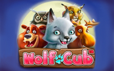 La slot machine Wolf Cub